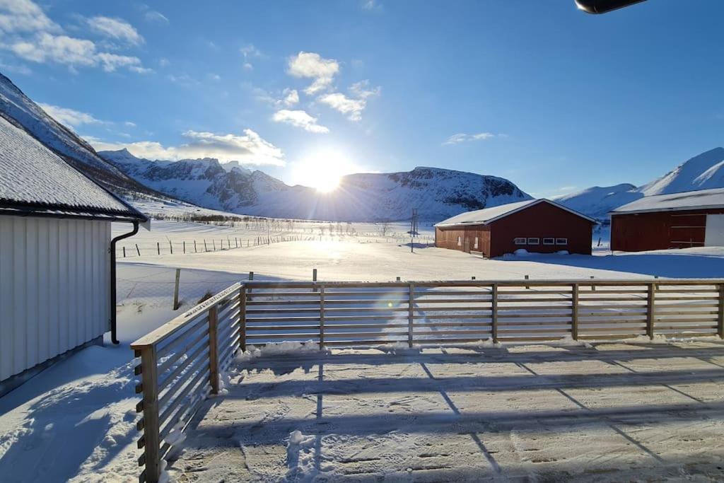 Arctic Lodge Tromvik With Jacuzzi Тромсьо Екстериор снимка